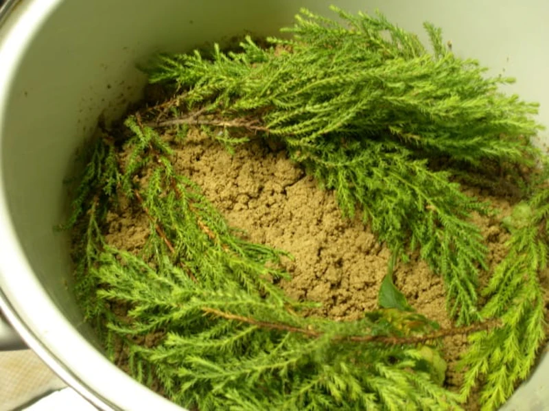 糠床