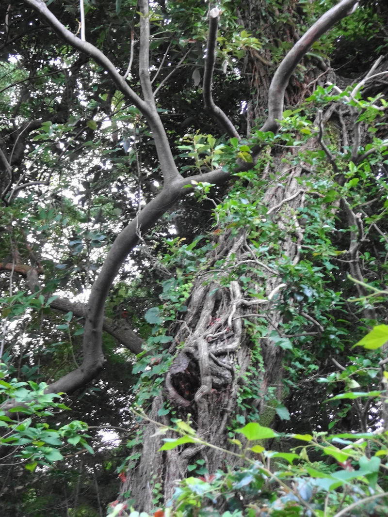 DSC03937