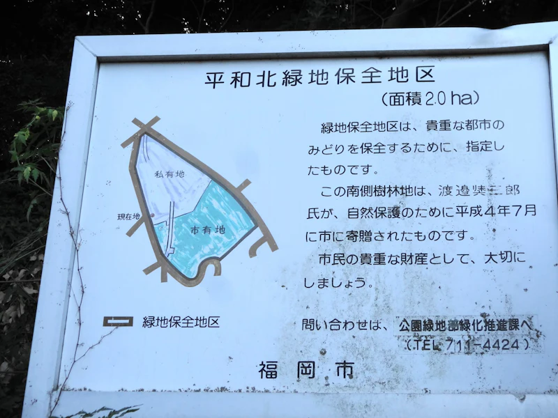 DSC03936