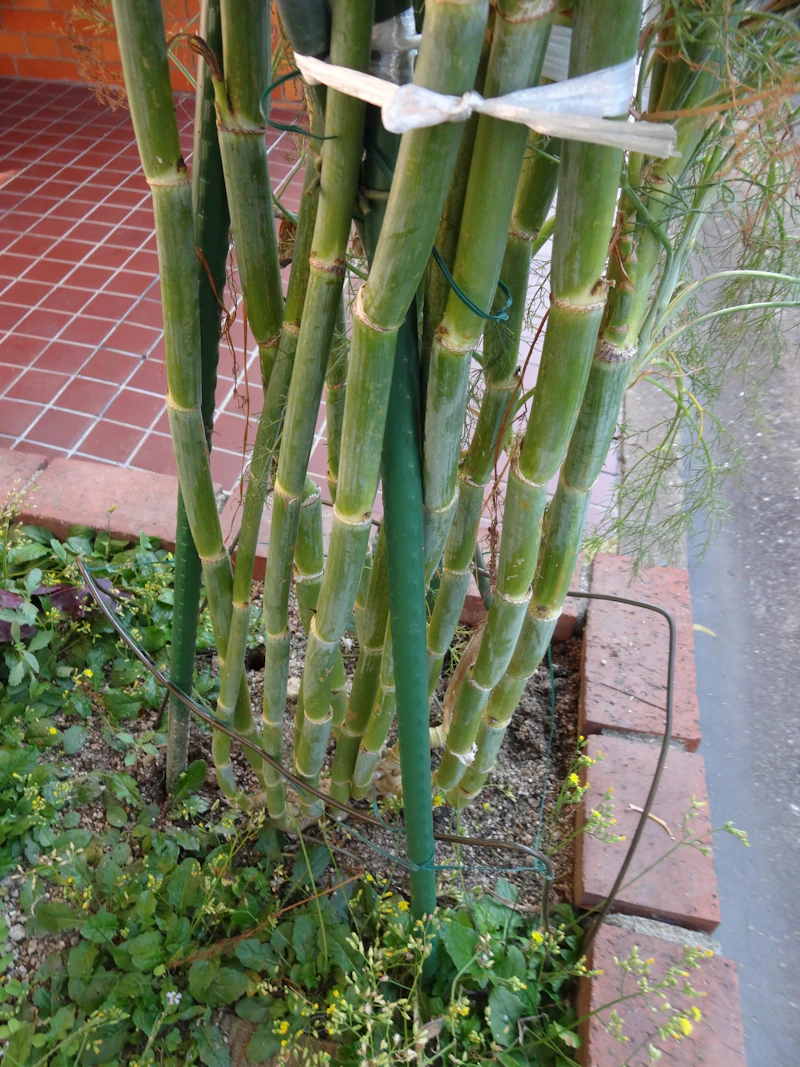 DSC01691
