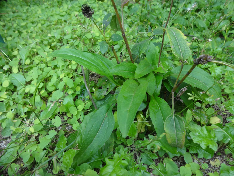 dsc01861