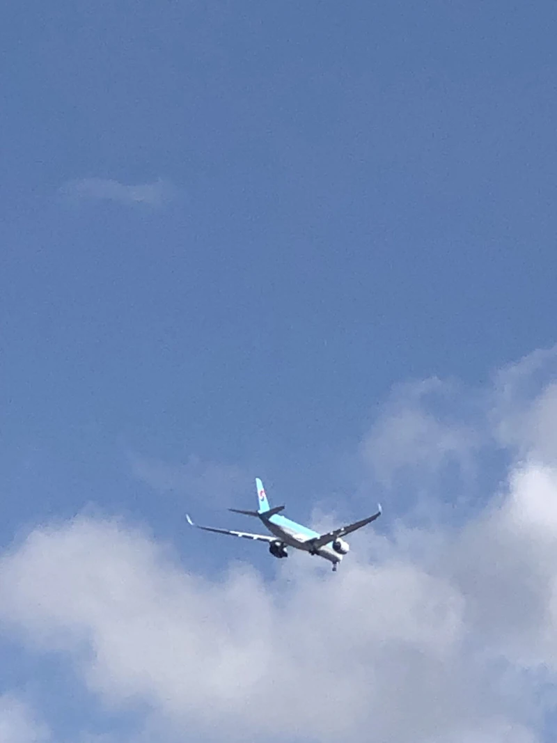 IMG_2887[1]