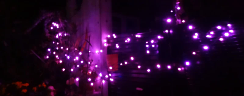 dsc02456