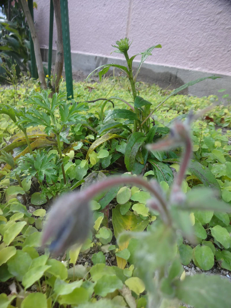 dsc02371
