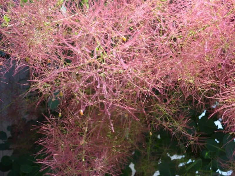 DSC01222