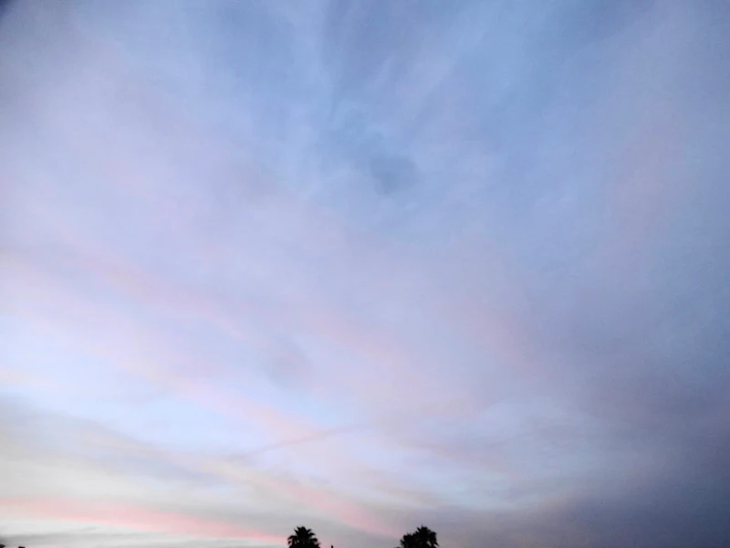 DSC03460