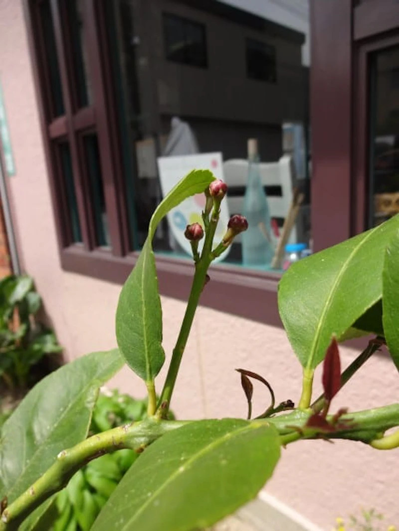 DSC01070