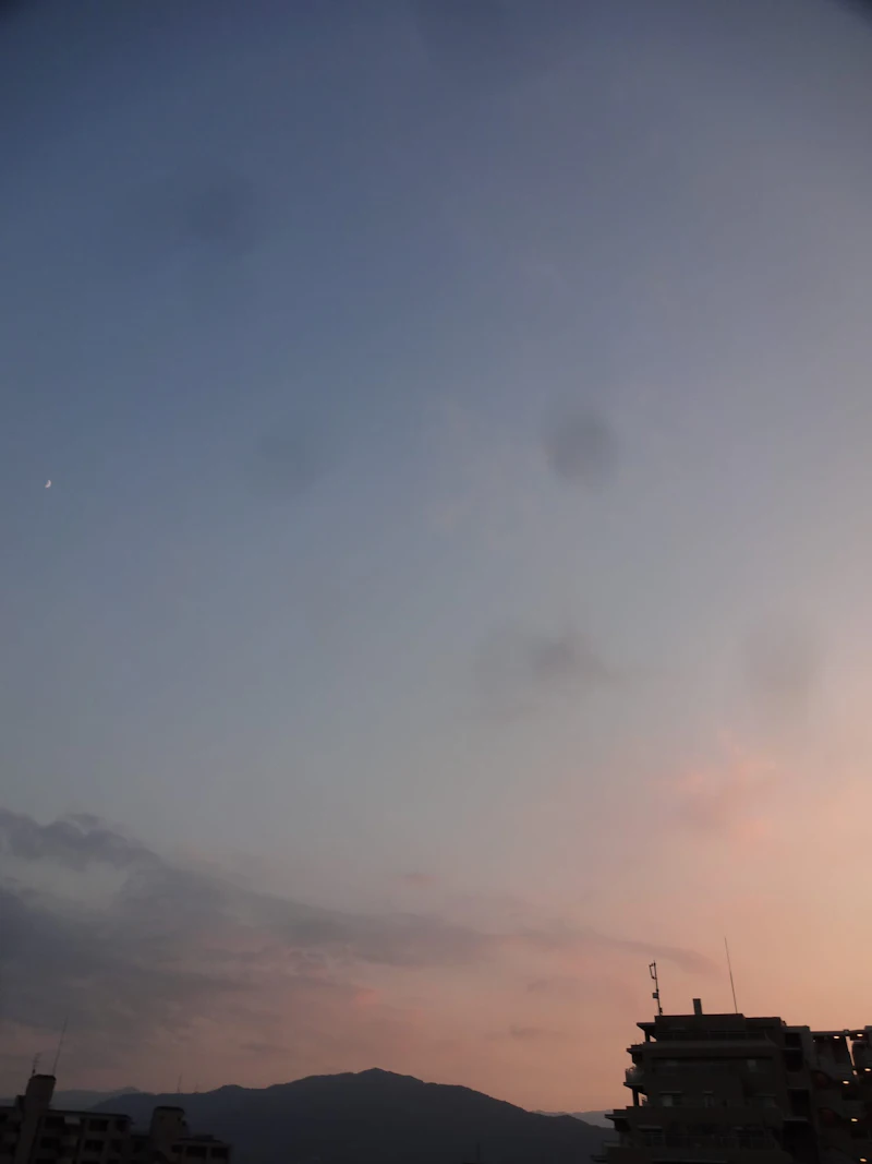 DSC04288