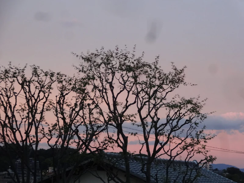 DSC05226