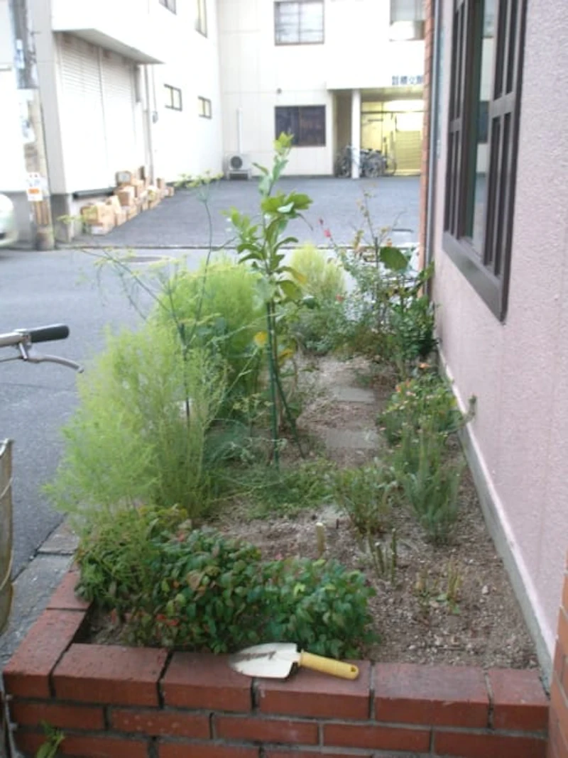 camomille キクイモ伐採の図