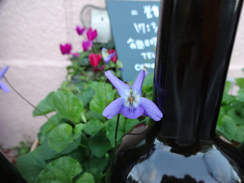 dsc02415