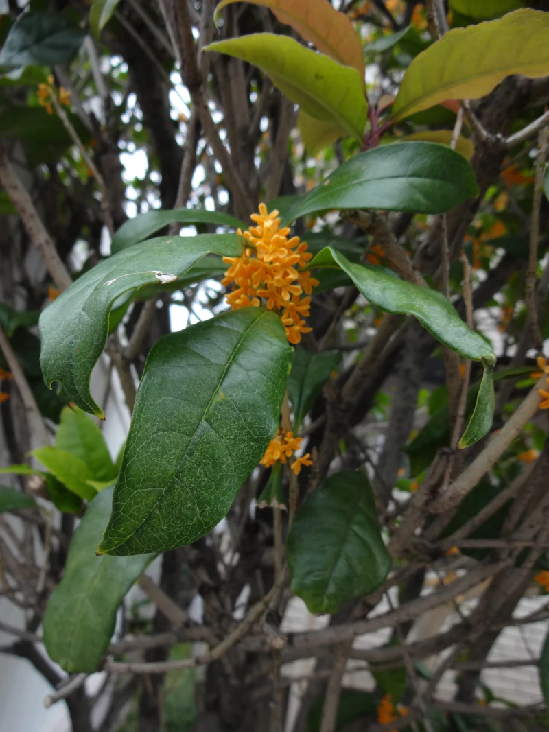 dsc02048