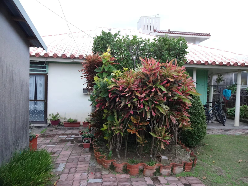 DSC04423