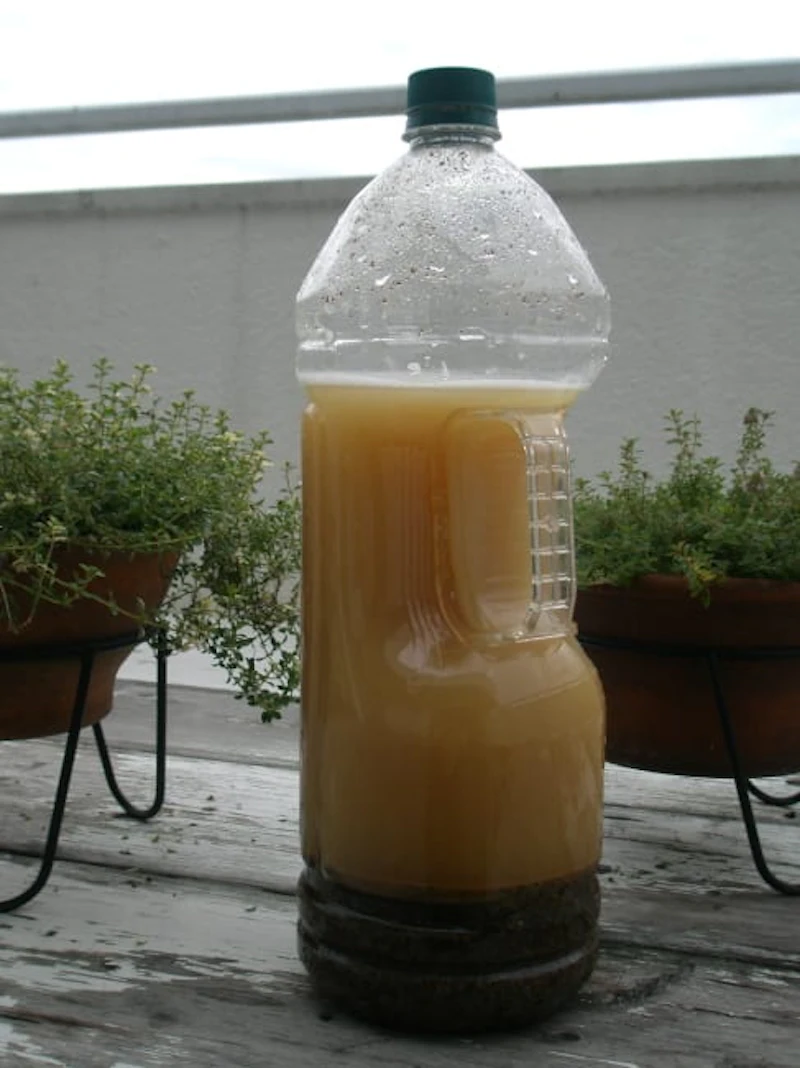 油粕