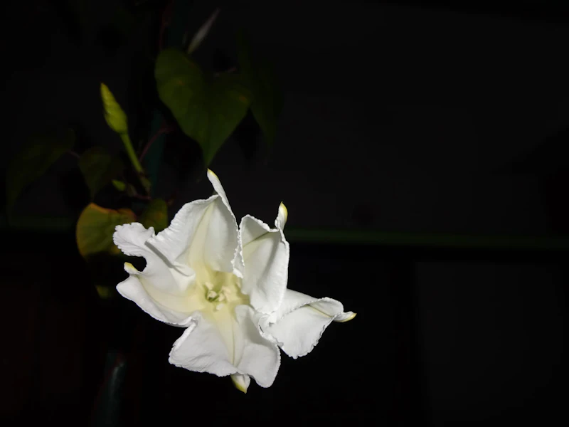 DSC04047
