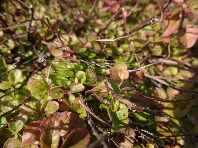 DSC04364
