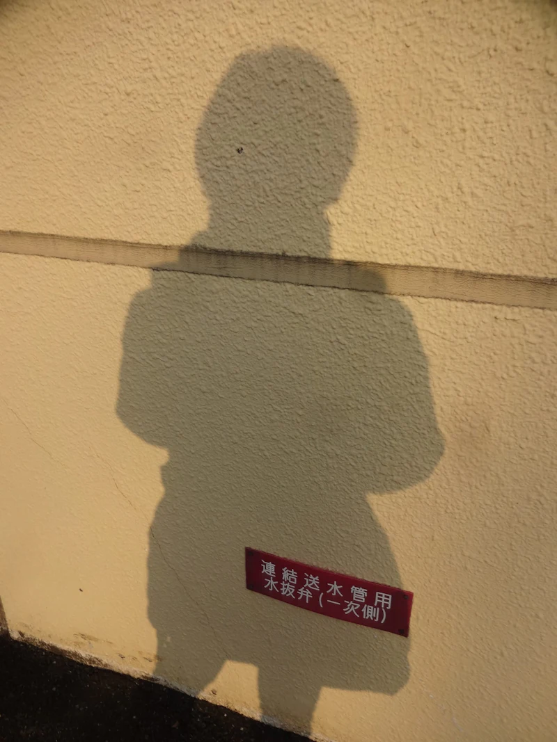 DSC04669