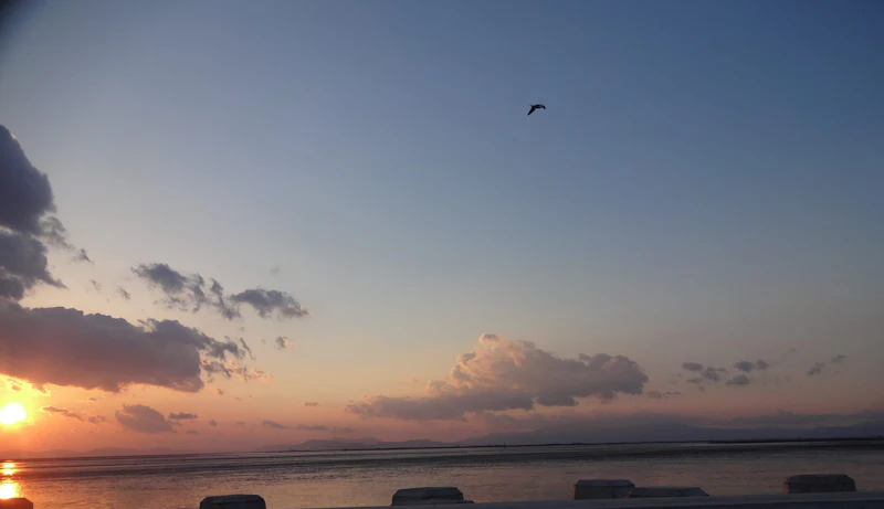 DSC03040