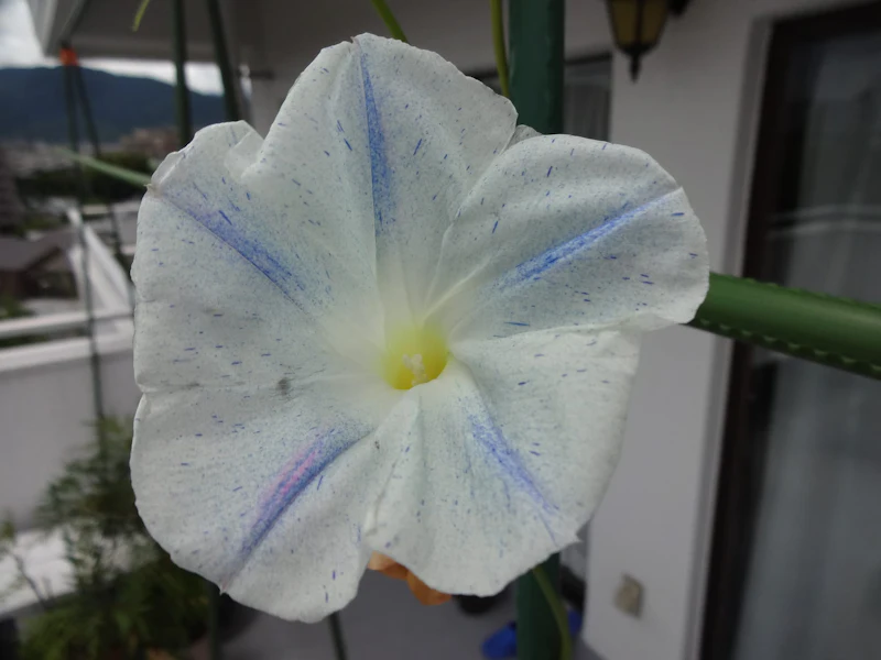 DSC03714