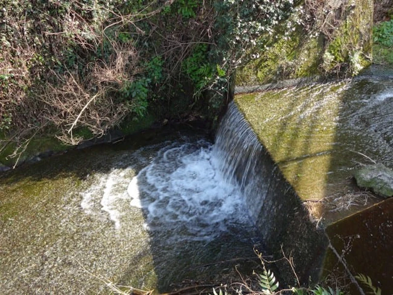 DSC00786