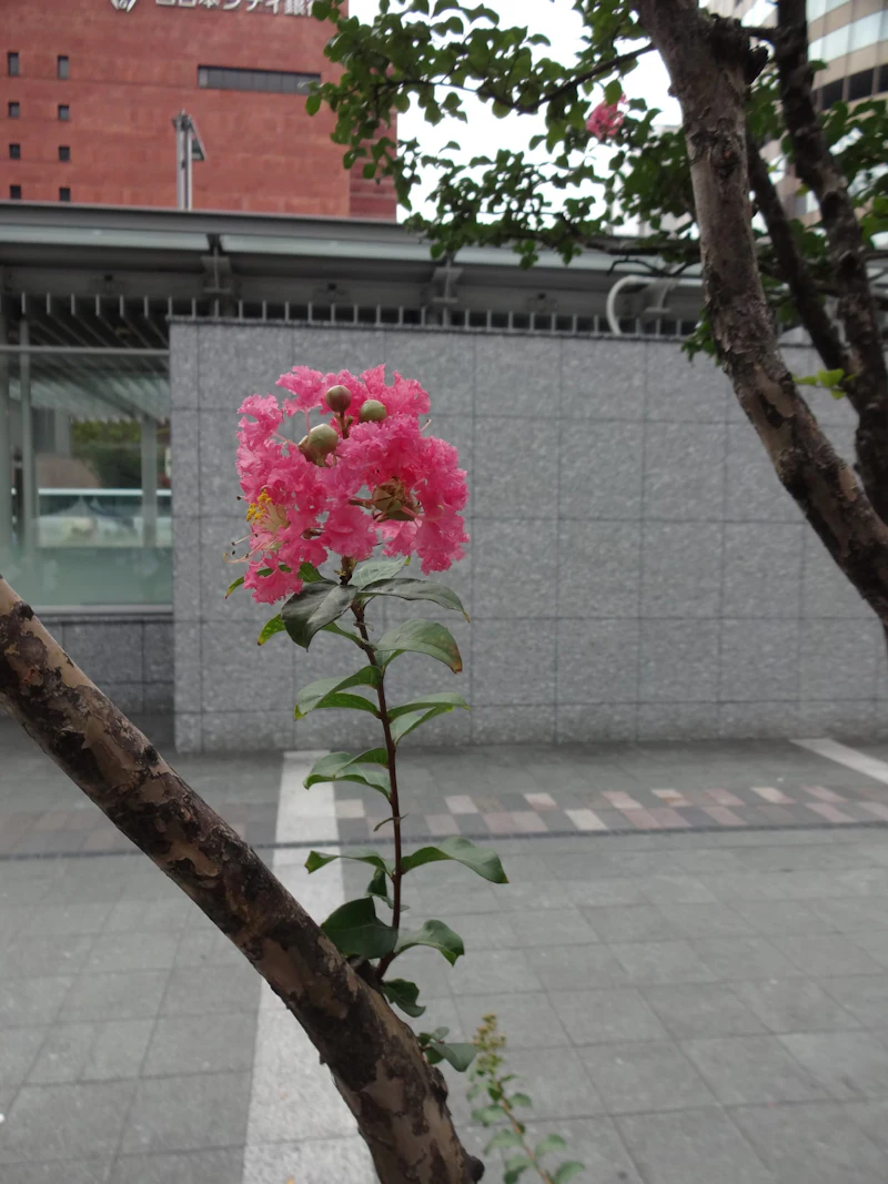 DSC01726