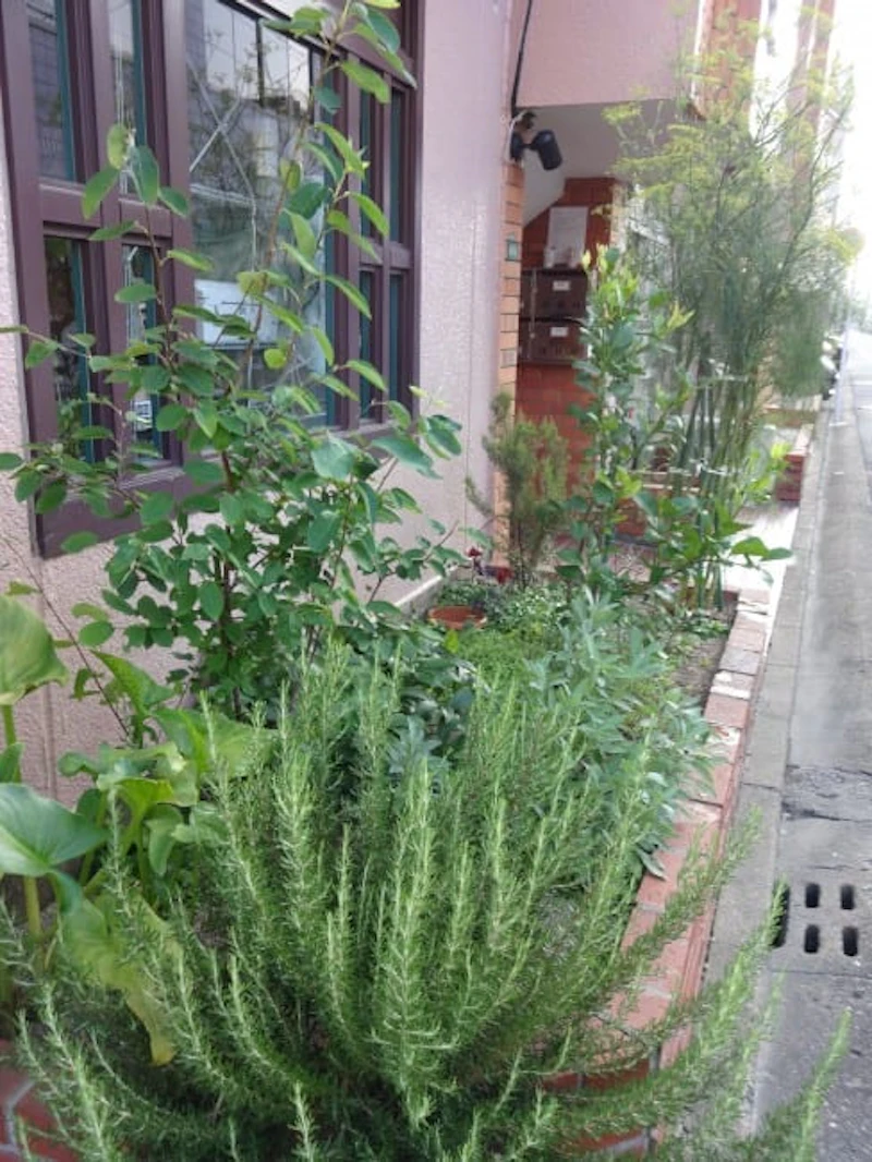 DSC01484