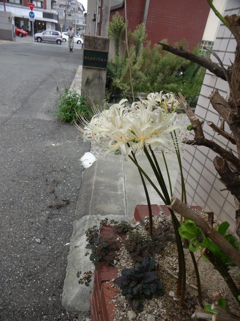 DSC04134