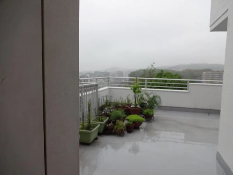 DSC01172