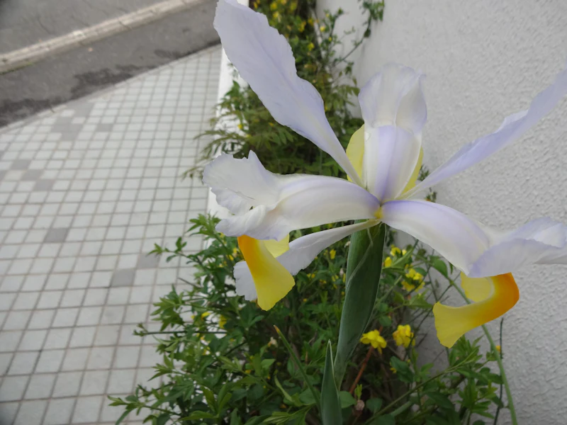 DSC04773