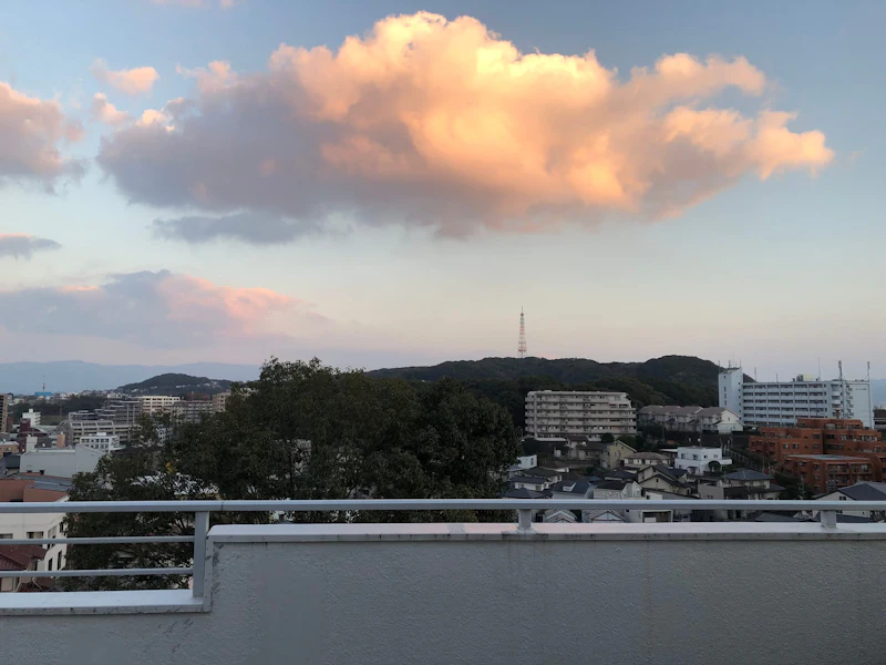 IMG_1143[1]