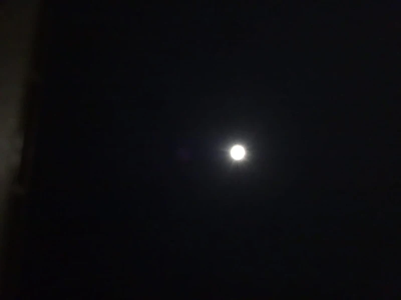 DSC04218