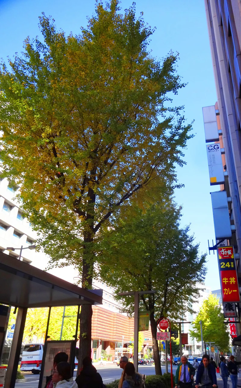 DSC05319