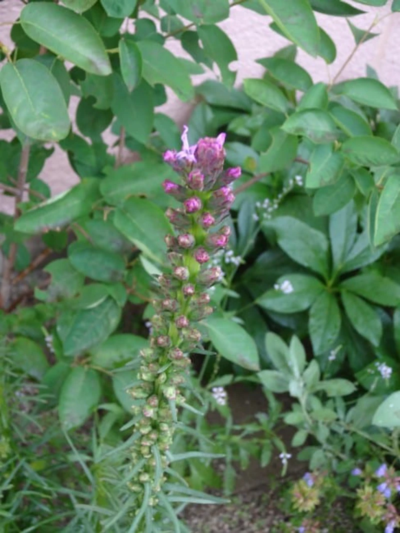 DSC01246