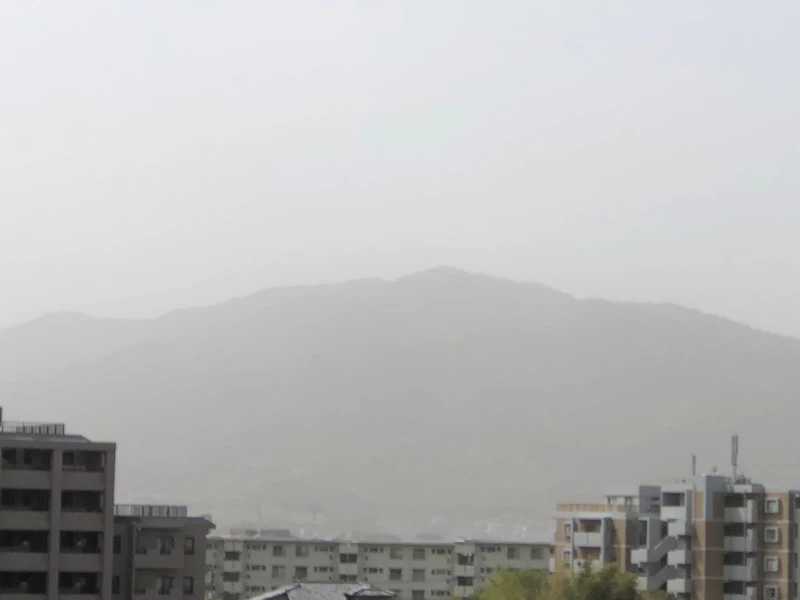 IMG_0391[1]