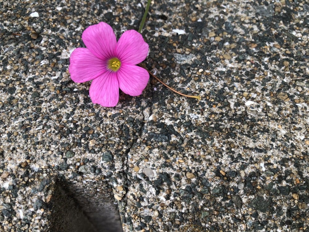 10/19