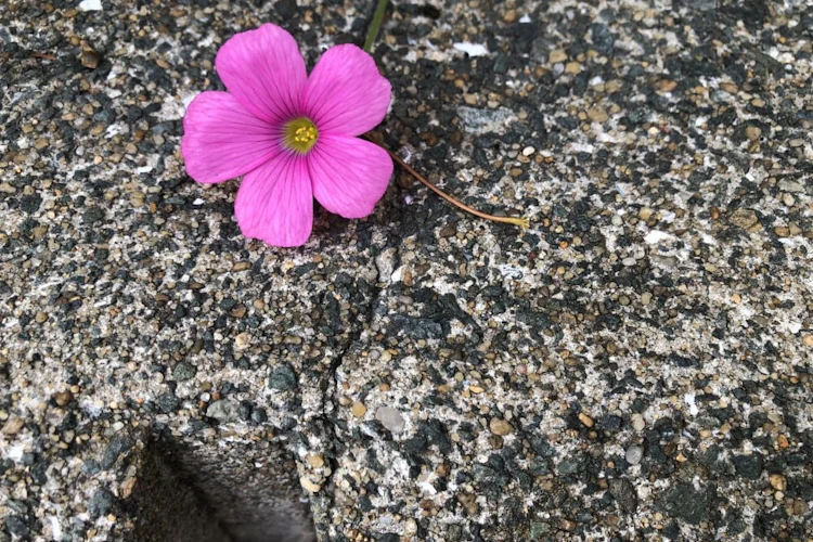 10/19