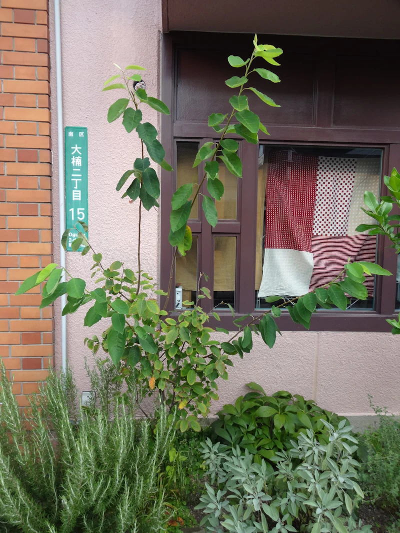 dsc01777