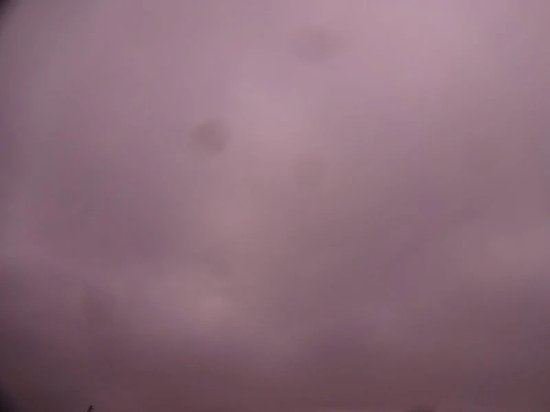 DSC04272