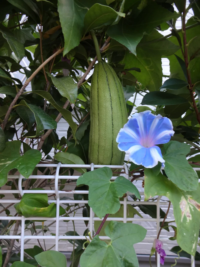 DSC04022