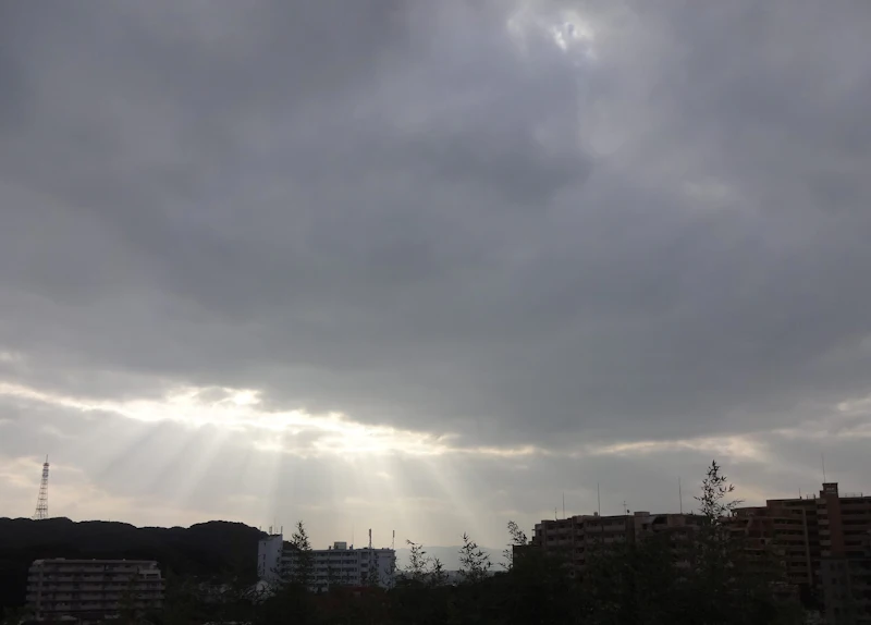 dsc02345