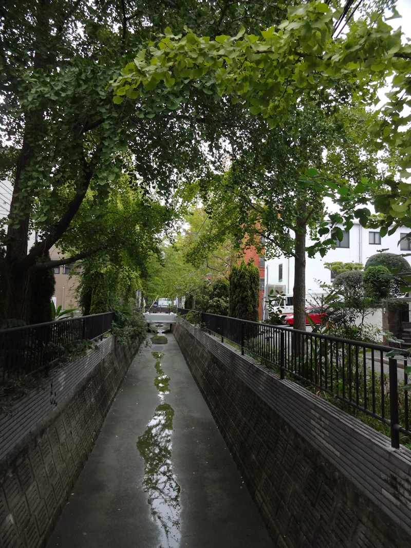 dsc02033