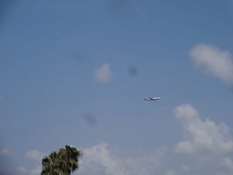 DSC03960