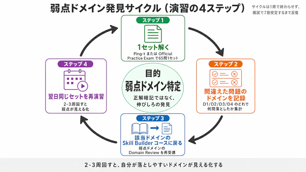 弱点ドメイン発見サイクル