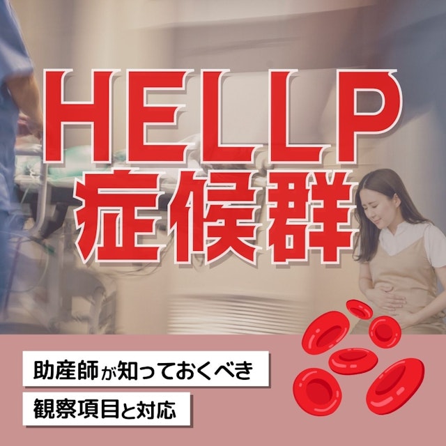 【産科の基礎知識】HELLP症候群の病態生理｜助産師が知っておくべき観察項目と対応