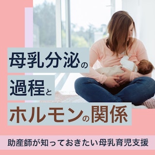 母乳分泌の過程とホルモンの関係|助産師が知っておきたい母乳育児支援
