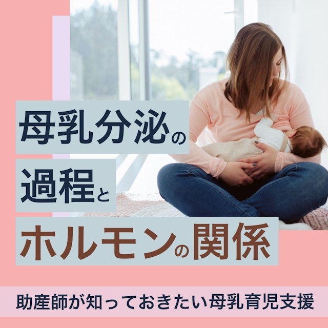母乳分泌の過程とホルモンの関係|助産師が知っておきたい母乳育児支援