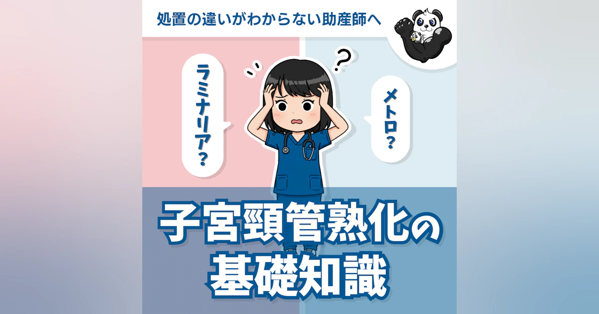【医師監修】切迫流産・切迫早産とは?症状や原因、受診の目安をわかりやすく解説 | じょさんしnavi