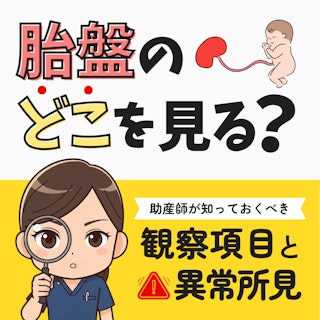 胎盤のどこを見る？新人助産師が知っておくべき観察項目と異常所見