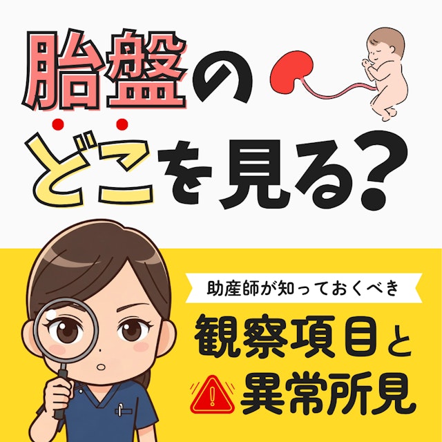 胎盤のどこを見る?新人助産師が知っておくべき観察項目と異常所見