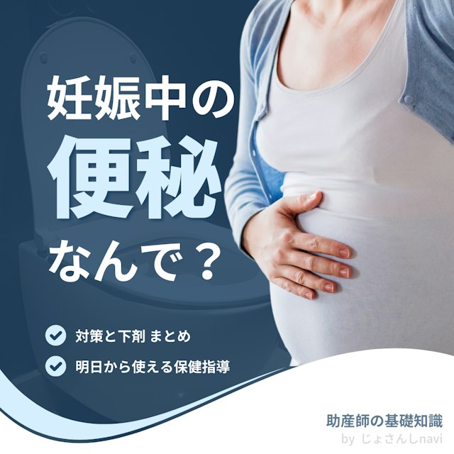 【助産師の基礎知識】妊娠中の便秘はなんで？対策と下剤まとめ｜保健指導で明日から使える